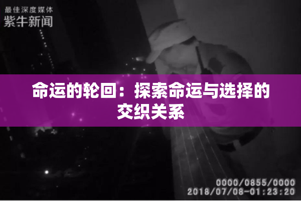 命运的轮回：探索命运与选择的交织关系