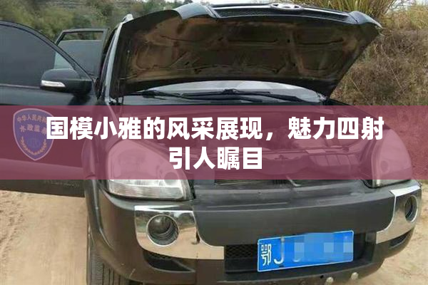 国模小雅的风采展现，魅力四射引人瞩目