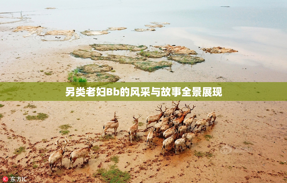 另类老妇Bb的风采与故事全景展现