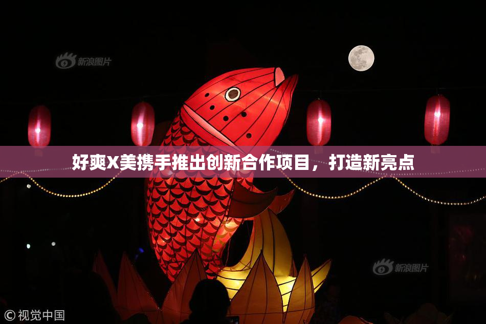 好爽X美携手推出创新合作项目，打造新亮点