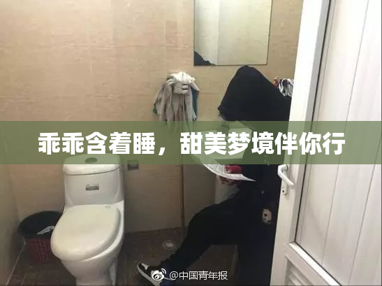 乖乖含着睡，甜美梦境伴你行