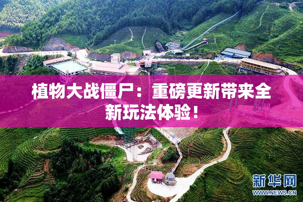 植物大战僵尸：重磅更新带来全新玩法体验！