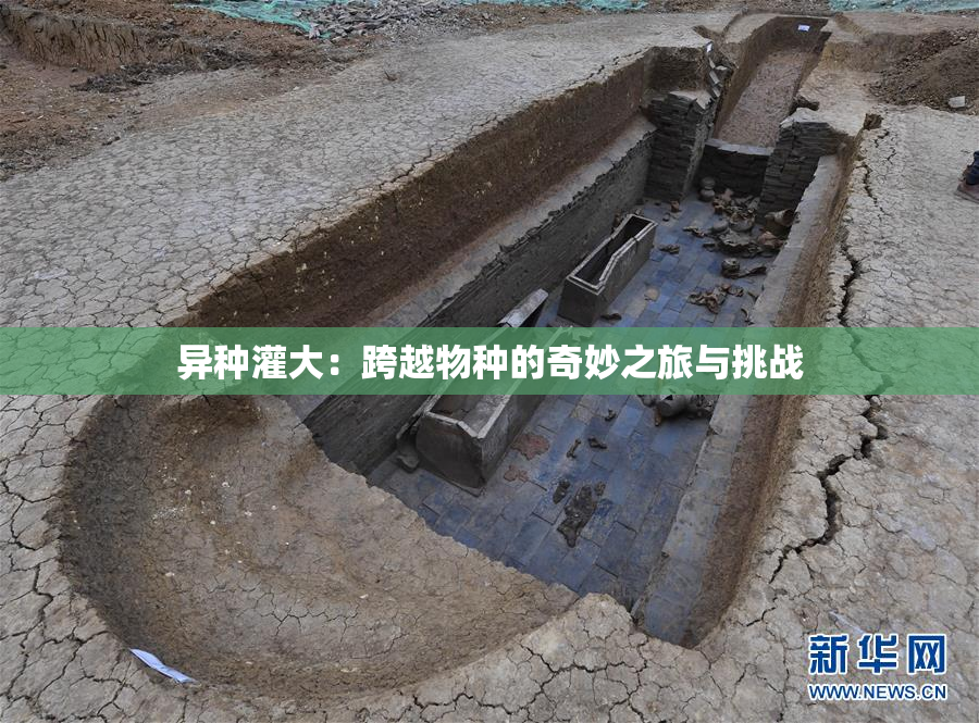 异种灌大：跨越物种的奇妙之旅与挑战