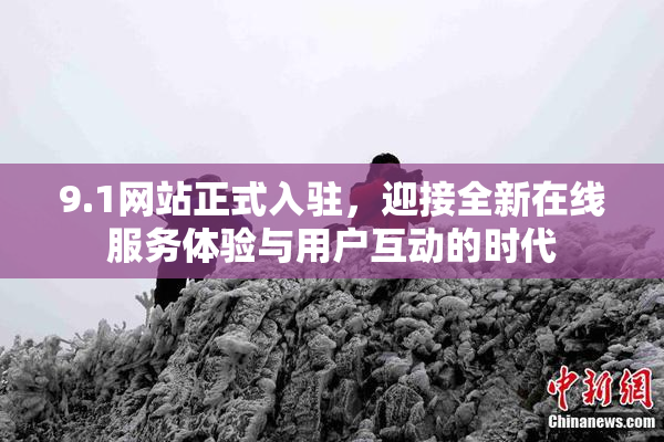 9.1网站正式入驻，迎接全新在线服务体验与用户互动的时代
