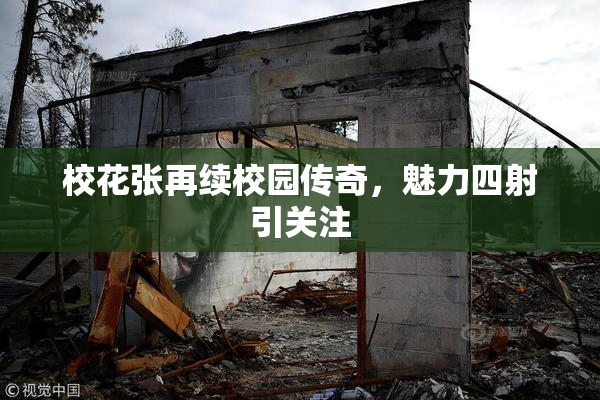 校花张再续校园传奇，魅力四射引关注
