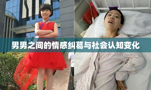 男男之间的情感纠葛与社会认知变化