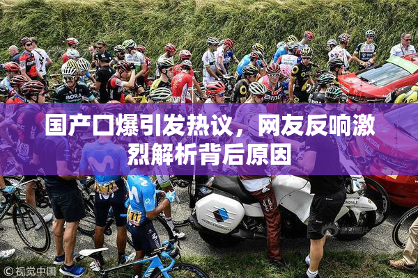 国产囗爆引发热议，网友反响激烈解析背后原因