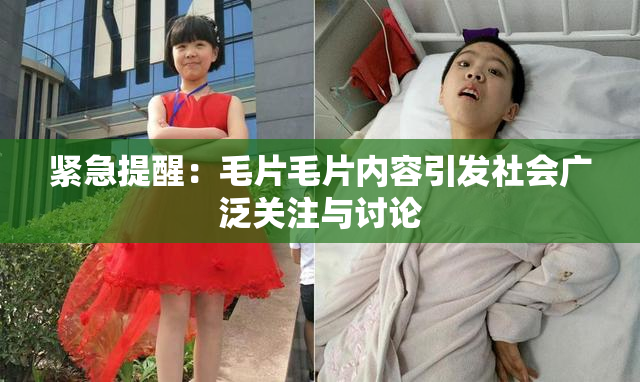 紧急提醒：毛片毛片内容引发社会广泛关注与讨论
