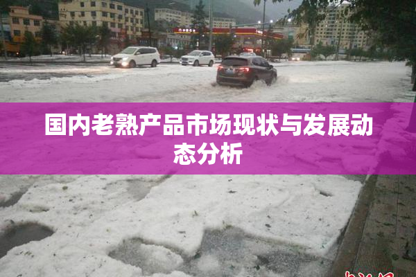 国内老熟产品市场现状与发展动态分析