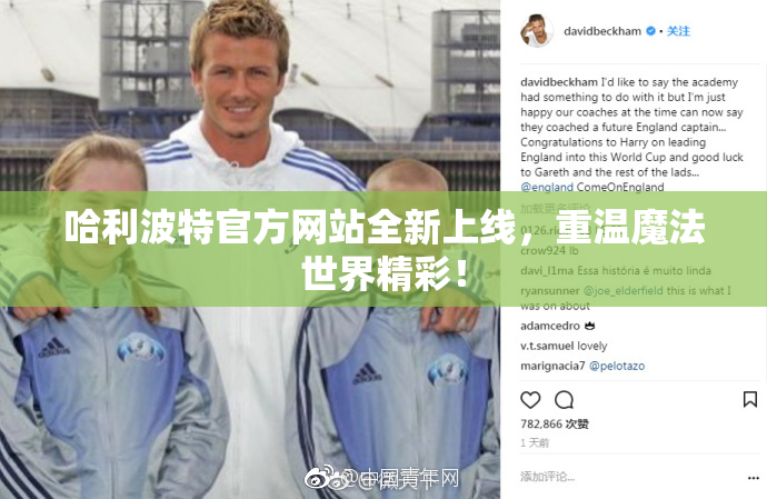 哈利波特官方网站全新上线，重温魔法世界精彩！