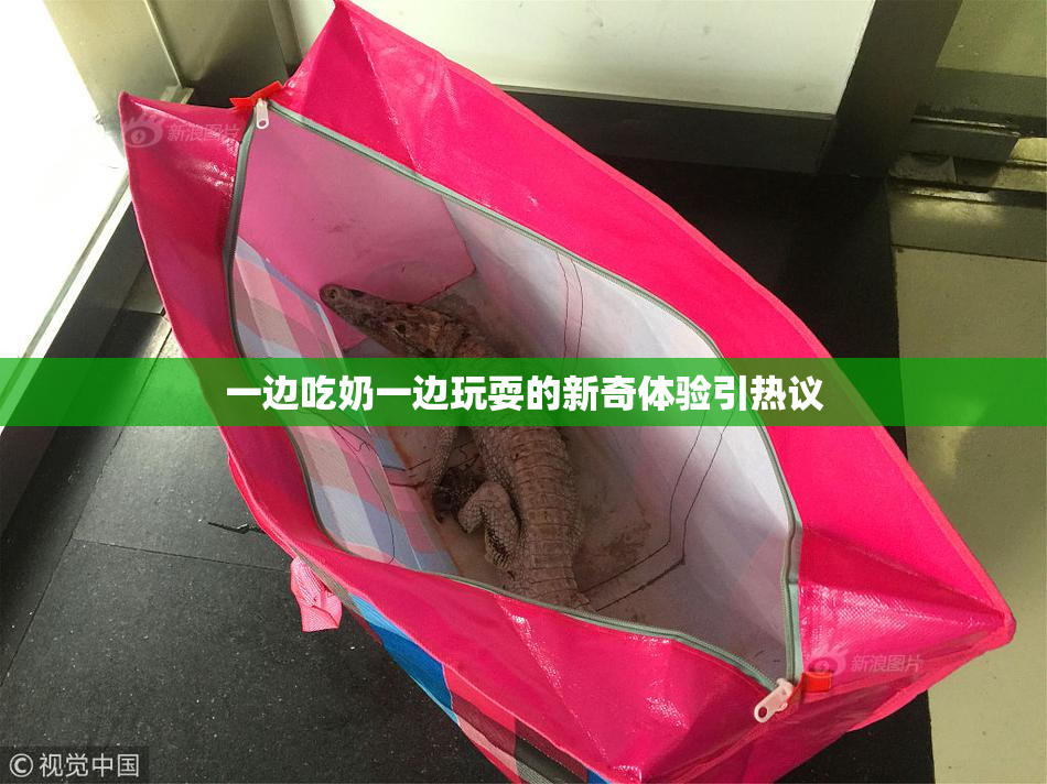 一边吃奶一边玩耍的新奇体验引热议