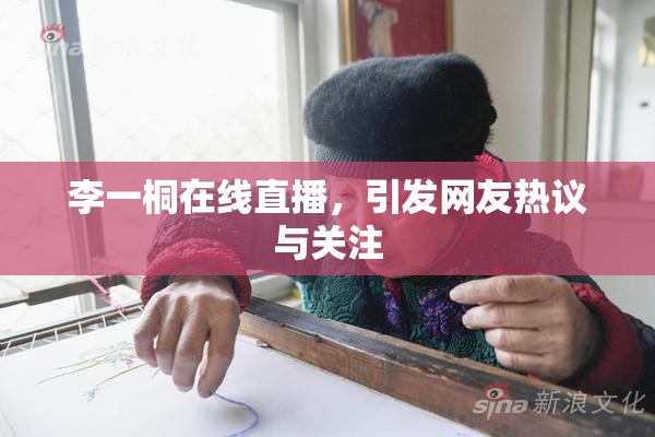 李一桐在线直播，引发网友热议与关注