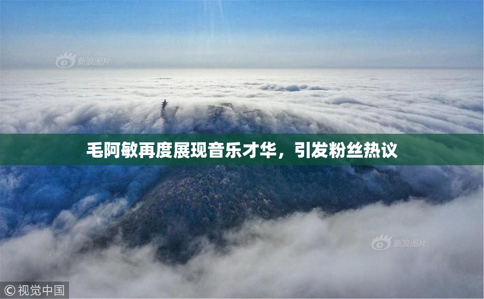 毛阿敏再度展现音乐才华，引发粉丝热议