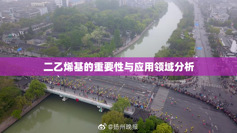 二乙烯基的重要性与应用领域分析