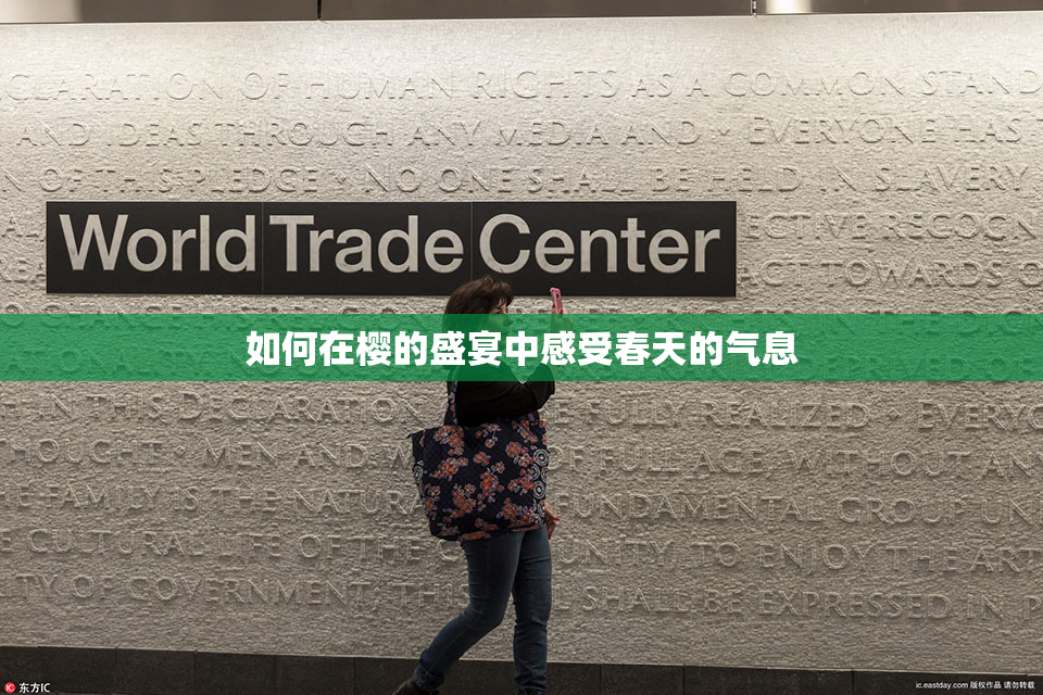 如何在樱的盛宴中感受春天的气息