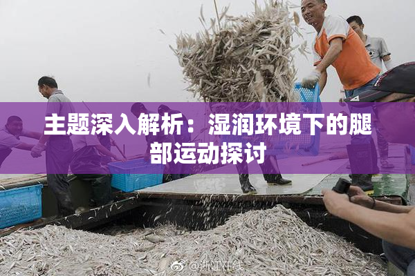 主题深入解析：湿润环境下的腿部运动探讨