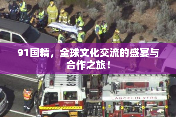 91国精，全球文化交流的盛宴与合作之旅！