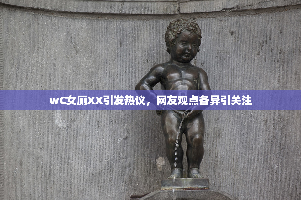 wC女厕XX引发热议，网友观点各异引关注