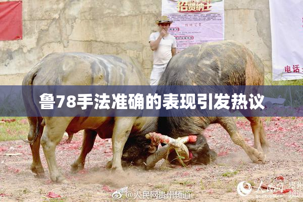 鲁78手法准确的表现引发热议
