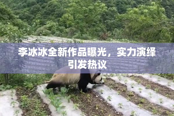 李冰冰全新作品曝光，实力演绎引发热议