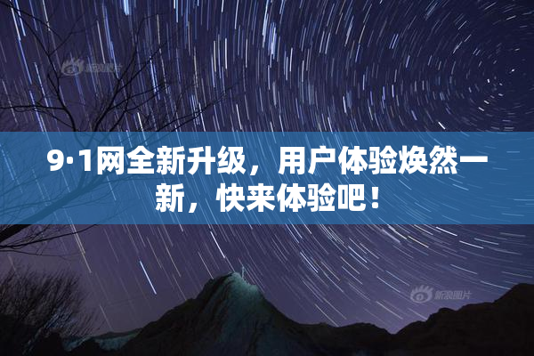 9·1网全新升级，用户体验焕然一新，快来体验吧！