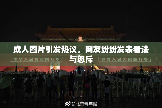 成人图片引发热议，网友纷纷发表看法与怒斥