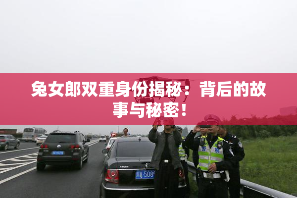 兔女郎双重身份揭秘：背后的故事与秘密！