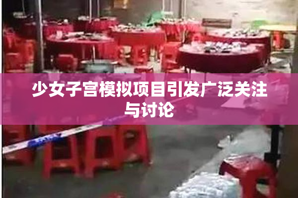 少女子宫模拟项目引发广泛关注与讨论