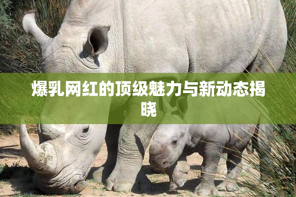 爆乳网红的顶级魅力与新动态揭晓