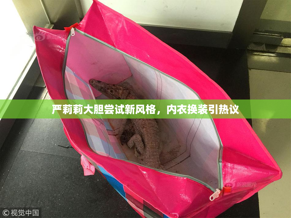 严莉莉大胆尝试新风格，内衣换装引热议