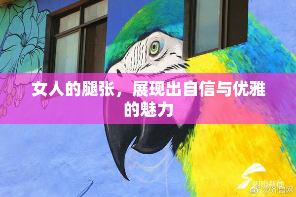 女人的腿张，展现出自信与优雅的魅力