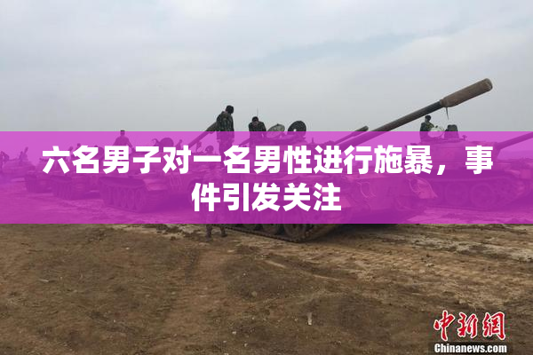 六名男子对一名男性进行施暴，事件引发关注