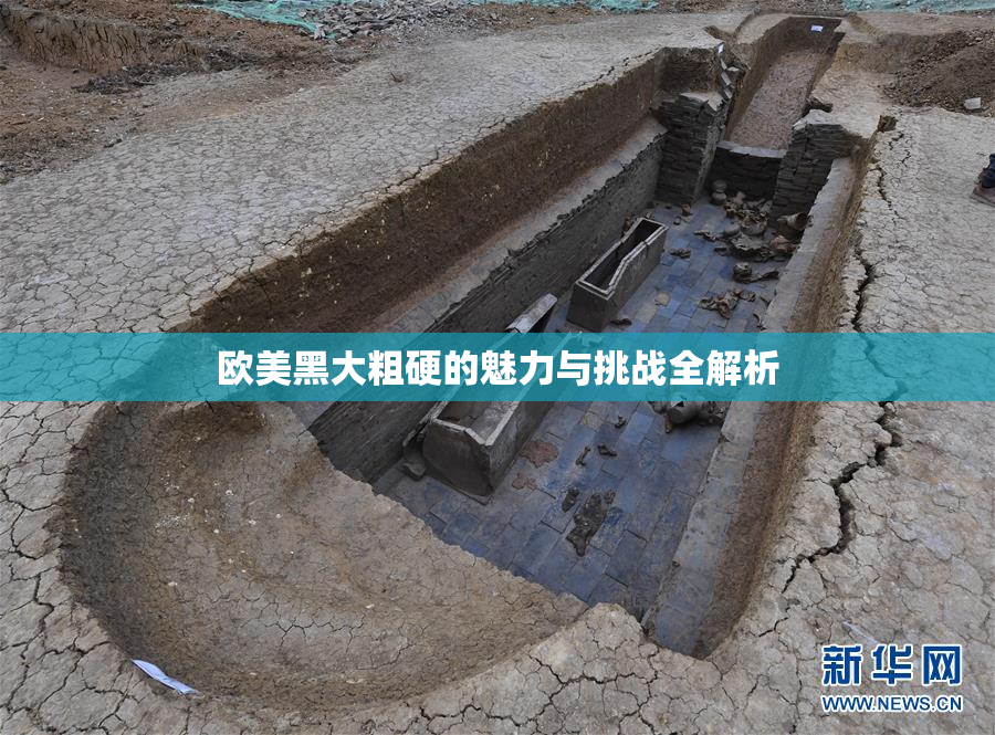 欧美黑大粗硬的魅力与挑战全解析