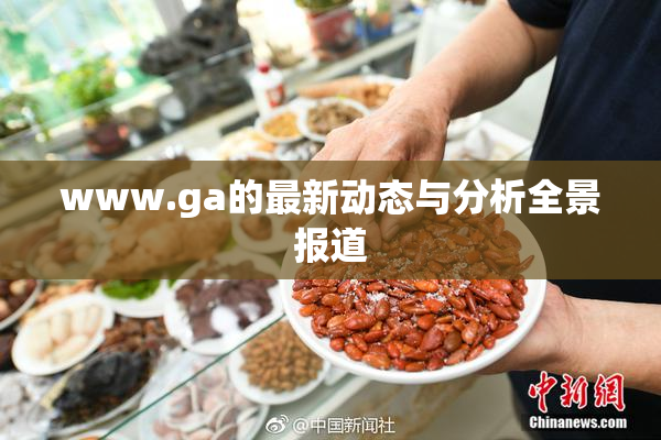 www.ga的最新动态与分析全景报道
