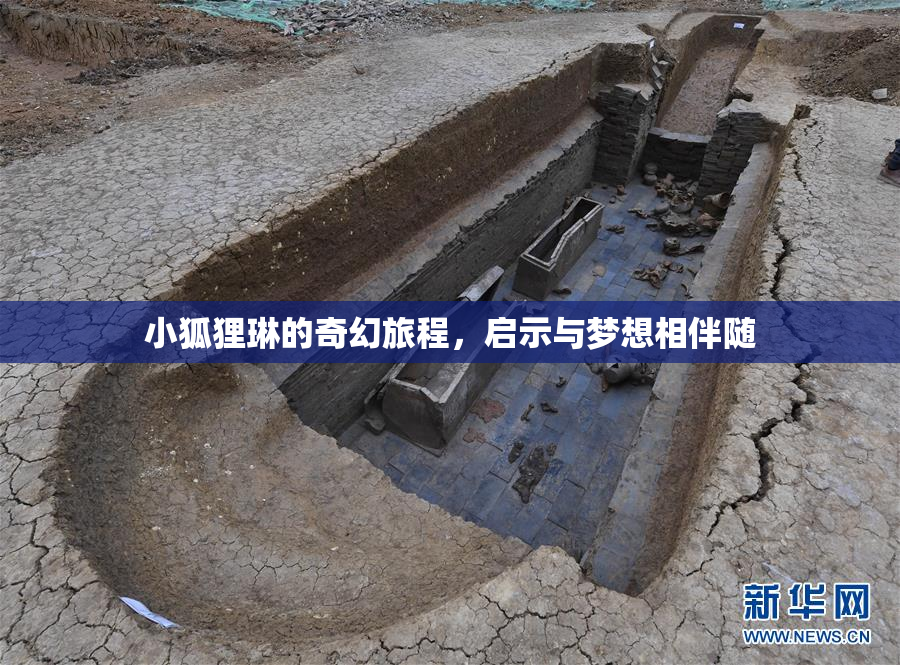 小狐狸琳的奇幻旅程，启示与梦想相伴随