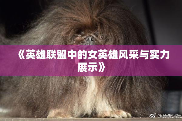 《英雄联盟中的女英雄风采与实力展示》