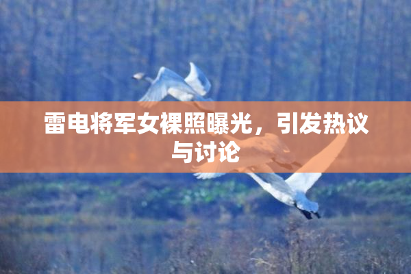 雷电将军女裸照曝光，引发热议与讨论