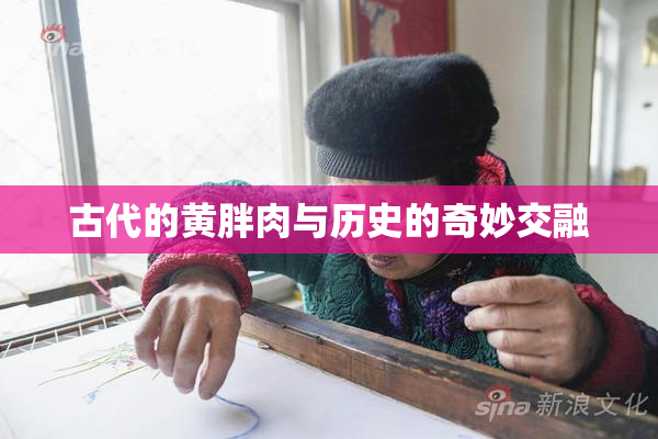 古代的黄胖肉与历史的奇妙交融