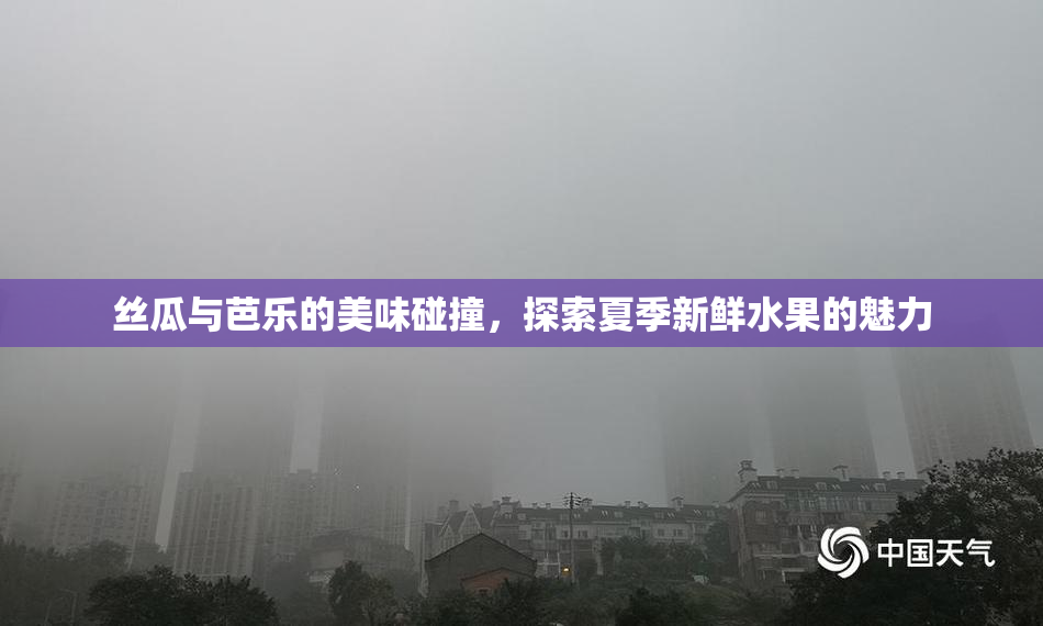 丝瓜与芭乐的美味碰撞，探索夏季新鲜水果的魅力
