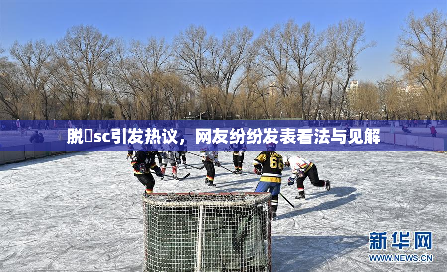 脱糞sc引发热议，网友纷纷发表看法与见解