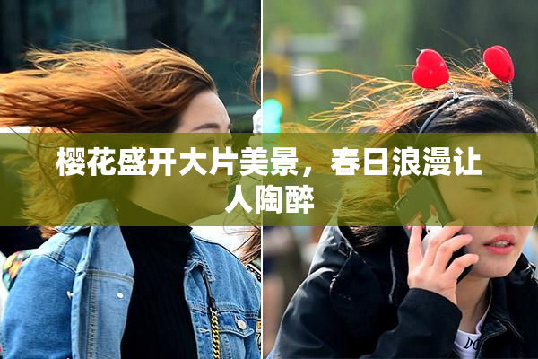 樱花盛开大片美景，春日浪漫让人陶醉