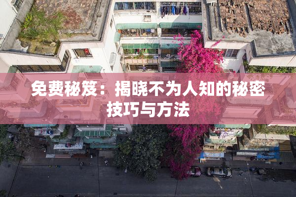 免费秘笈：揭晓不为人知的秘密技巧与方法