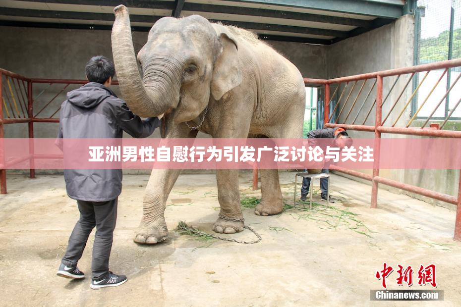 亚洲男性自慰行为引发广泛讨论与关注