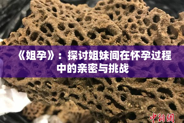 《姐孕》：探讨姐妹间在怀孕过程中的亲密与挑战