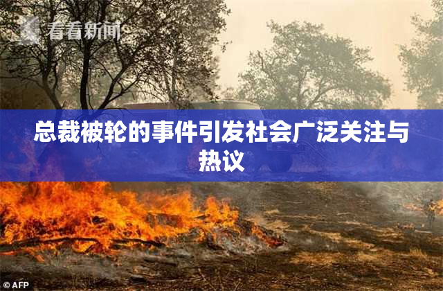 总裁被轮的事件引发社会广泛关注与热议