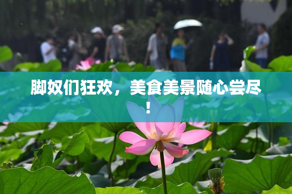 脚奴们狂欢，美食美景随心尝尽！