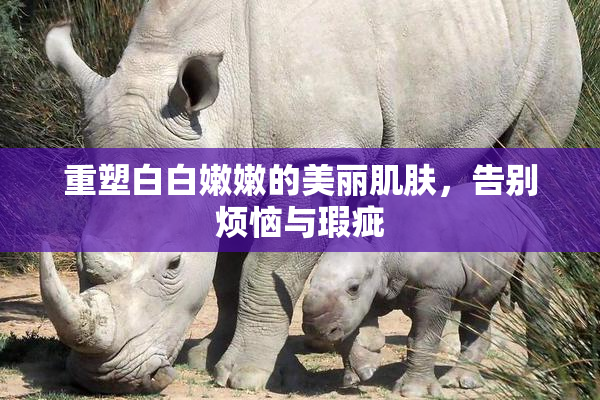 重塑白白嫩嫩的美丽肌肤，告别烦恼与瑕疵