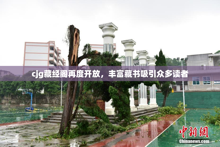 cjg藏经阁再度开放，丰富藏书吸引众多读者