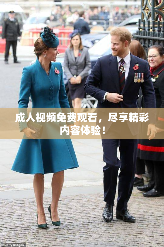 成人视频免费观看，尽享精彩内容体验！