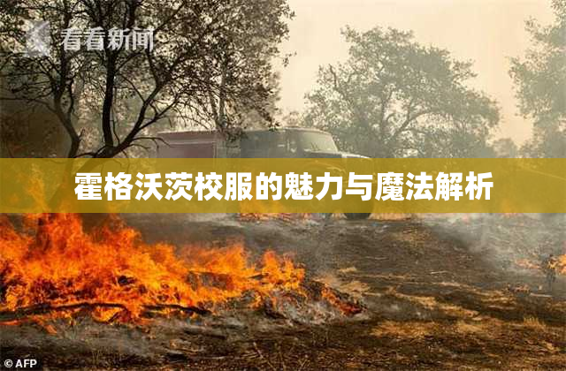 霍格沃茨校服的魅力与魔法解析